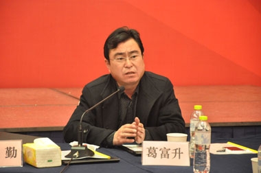 山东大区市场葛总总结汇报工作 山东大区市场葛总总结汇报工作