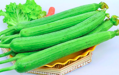 丝瓜