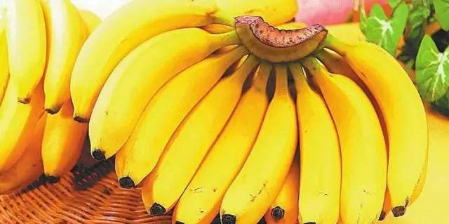 香蕉