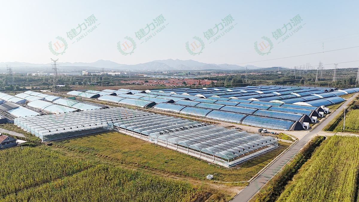 力源生态农场外景航拍图 (1).jpg