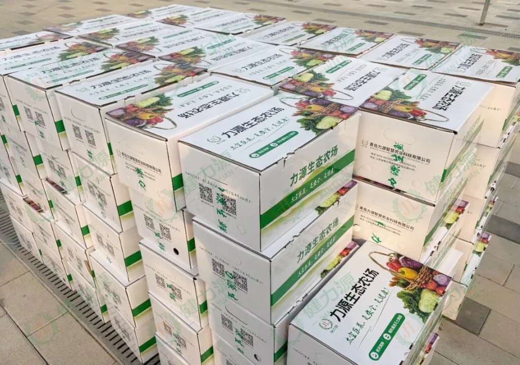 整装待发的力源蔬菜礼盒 (1).jpg