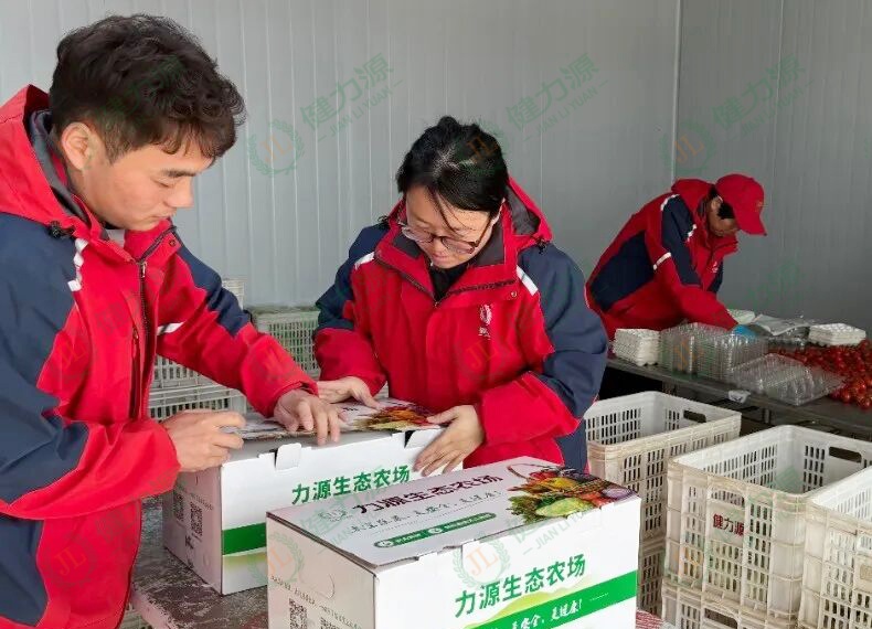 农场员工正在打包蔬菜礼盒 (1).jpg