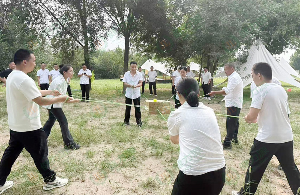 考研团队默契与专注的&ldquo;鼓动人心&rdquo;项目 (1).jpg